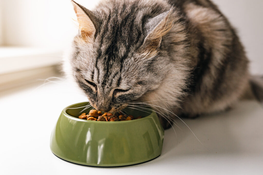 pet food supplier | ecobarks